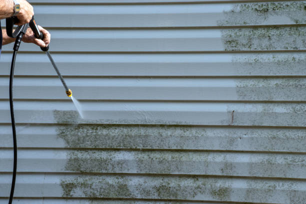 Best Basement Cleanout  in Medford, NY